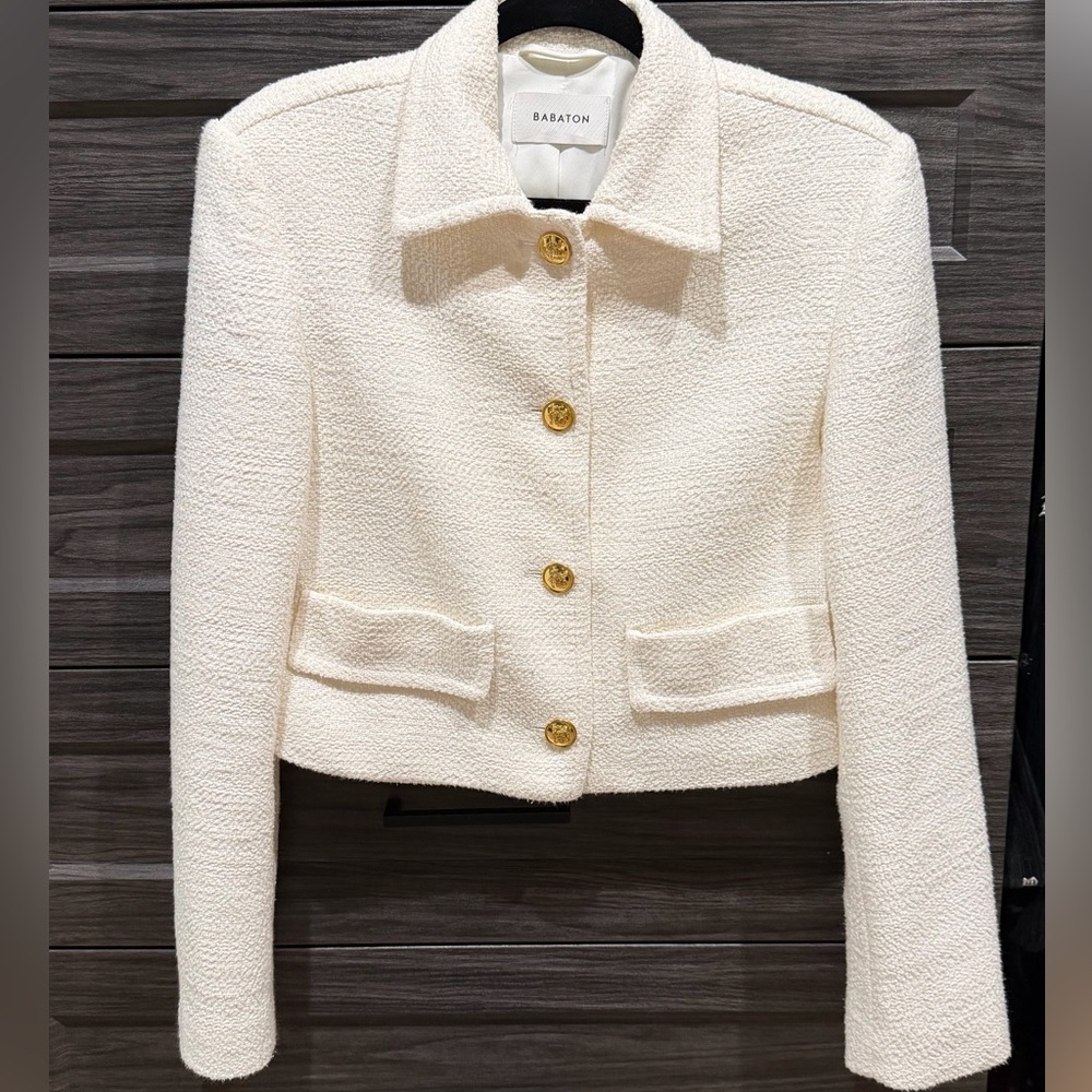 Aritzia Babaton Jacket
